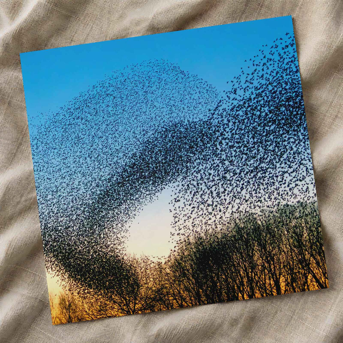 Flock of Starlings at Golden Hour Photo Wall Print (7 Sizes) - Satin Luster