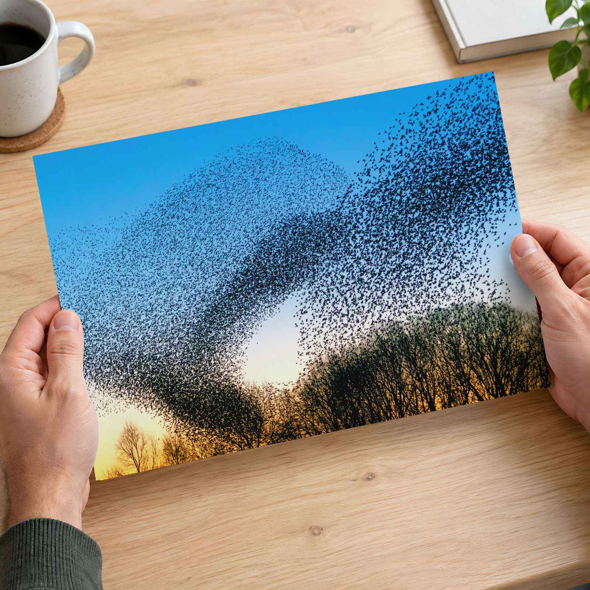 Flock of Starlings at Golden Hour Photo Wall Print (7 Sizes) - Satin Luster