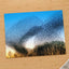 Flock of Starlings at Golden Hour Photo Print Wall Decor