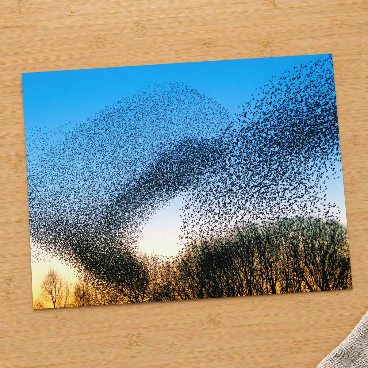 Flock of Starlings at Golden Hour Photo Print Wall Decor