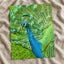 Peacock Photo Print (7 Sizes) - High Quality