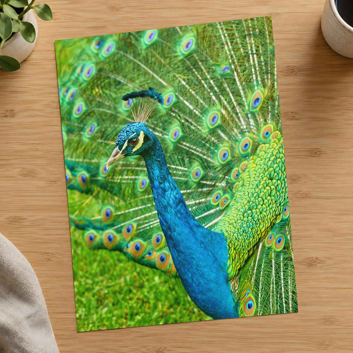 Peacock Photo Print (7 Sizes) - High Quality