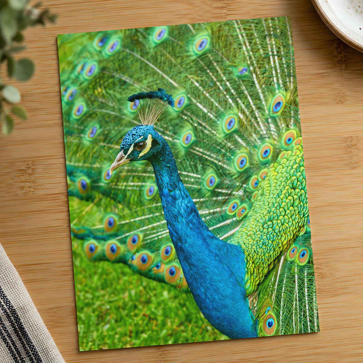Peacock Photo Print (7 Sizes) - High Quality