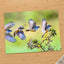Multiple Exposure Vermillion Flycatcher Photo Wall Art (5 Sizes) - High Quality