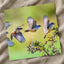 Multiple Exposure Vermillion Flycatcher Photo Wall Art (5 Sizes) - High Quality