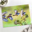 Multiple Exposure Vermillion Flycatcher Photo Print Wall Decor