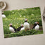 Puffins Standing on Top of Lush Green Field Photo Wall Print (7 Sizes)