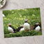 Puffins Standing on Top of Lush Green Field Photo Wall Print (7 Sizes)
