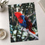 Red and Blue Parrot Perched on Branch Bali Photo Wall Art (7 Sizes) - Frameable