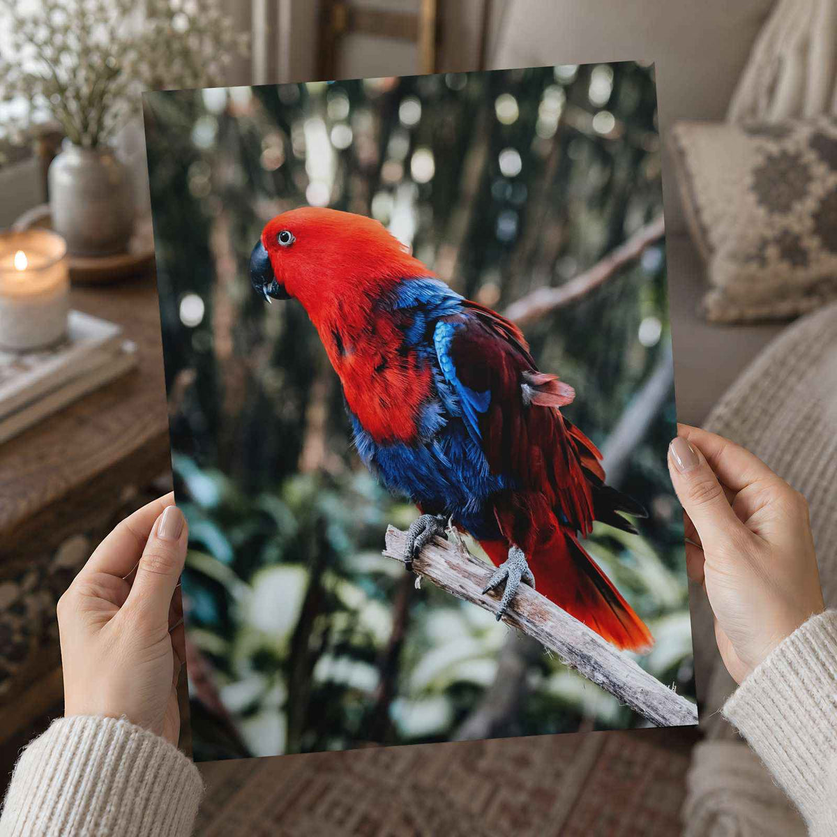 Red and Blue Parrot Perched on Branch Bali Photo Wall Art (7 Sizes) - Frameable