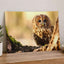 Tawny Owl Sitting on Branch Photo Wall Print (7 Sizes) - Frameable