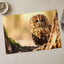 Tawny Owl Sitting on Branch Photo Wall Print (7 Sizes) - Frameable