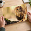 Tawny Owl Sitting on Branch Photo Wall Print (7 Sizes) - Frameable