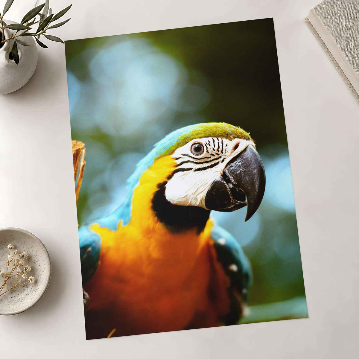 Close-Up of Blue and Yellow Macaw Parrot Photo Print (7 Sizes) - Premium Quality