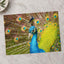 Close Up of Peacock with Its Feathers Open Photographic Art Print (7 Sizes)
