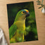 Green Parrot with Yellow and Orange Head Photography Print (7 Sizes) - Frameable