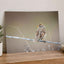 Small Bird Perched on Barbed Wire Photo Print (7 Sizes) - High Quality