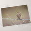 Small Bird Perched on Barbed Wire Photo Print (7 Sizes) - High Quality