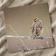 Small Bird Perched on Barbed Wire Photo Print (7 Sizes) - High Quality