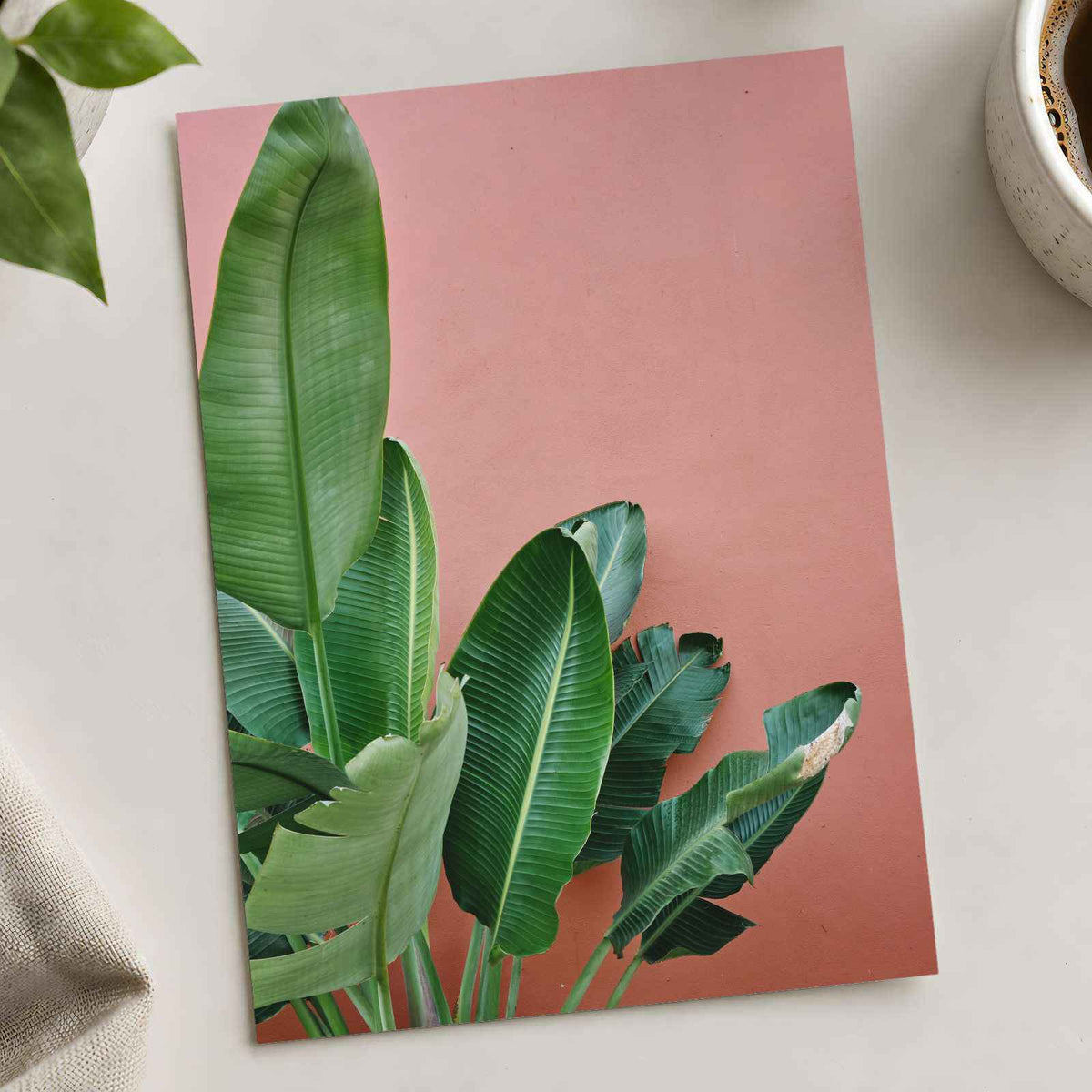 Tropical Plant Against a Pink Wall Photographic Art Print (7 Sizes) - Frameable