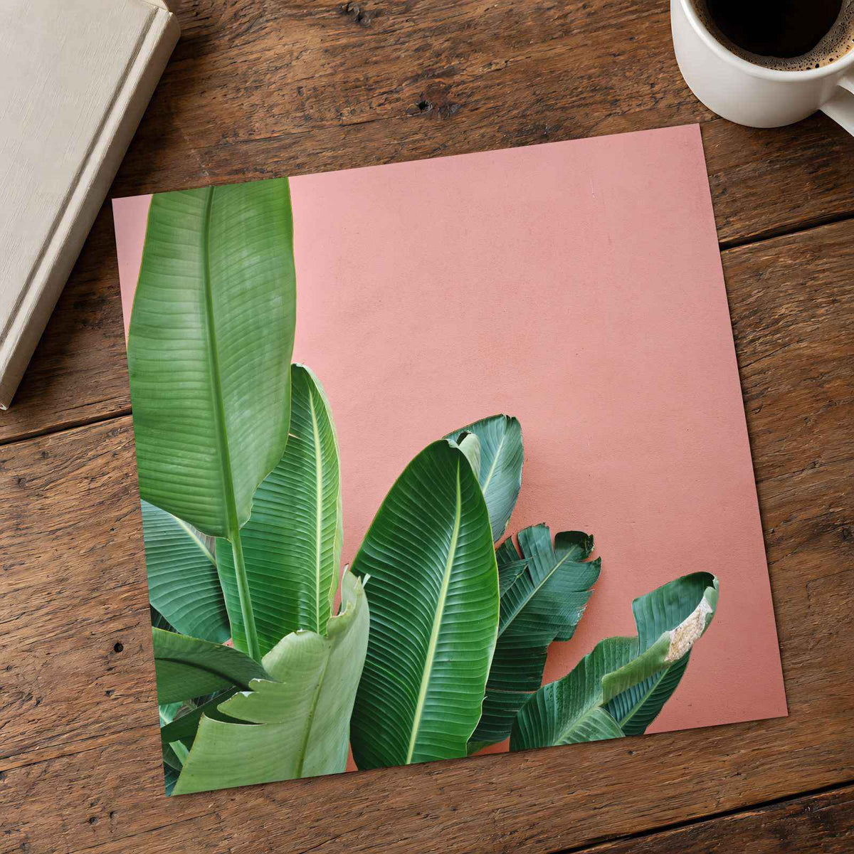 Tropical Plant Against a Pink Wall Photographic Art Print (7 Sizes) - Frameable