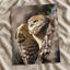 Burrowing Owl in Cape Coral, Florida Photo Wall Art (7 Sizes) - Premium Quality