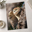 Burrowing Owl in Cape Coral, Florida Photo Wall Art (7 Sizes) - Premium Quality