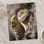 Burrowing Owl in Cape Coral