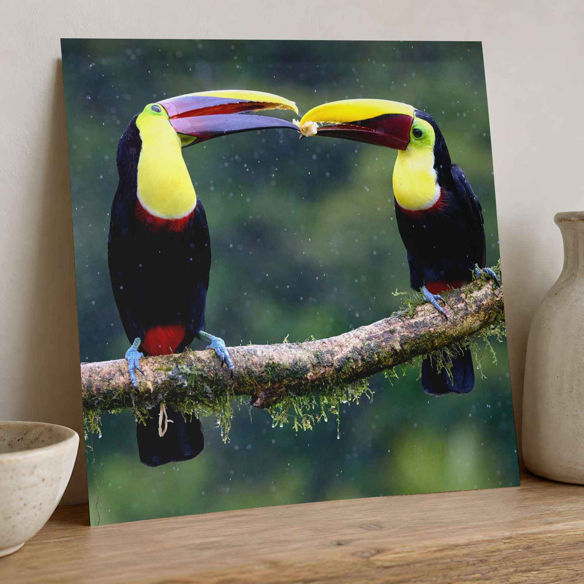 Two Colorful Toucans Sitting in Rain Photo Print (7 Sizes) - Ready to Frame