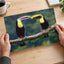 Two Colorful Toucans Sitting in Rain Photo Print (7 Sizes) - Ready to Frame