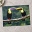 Two Colorful Toucans Sitting in Rain by Zdeněk Macháček Photo Print Wall Decor