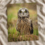 Short-Eared Owl on Ground Photo Wall Print (5 Sizes) - Printed in USA