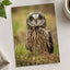Short-Eared Owl on Ground Photo Wall Print (5 Sizes) - Printed in USA