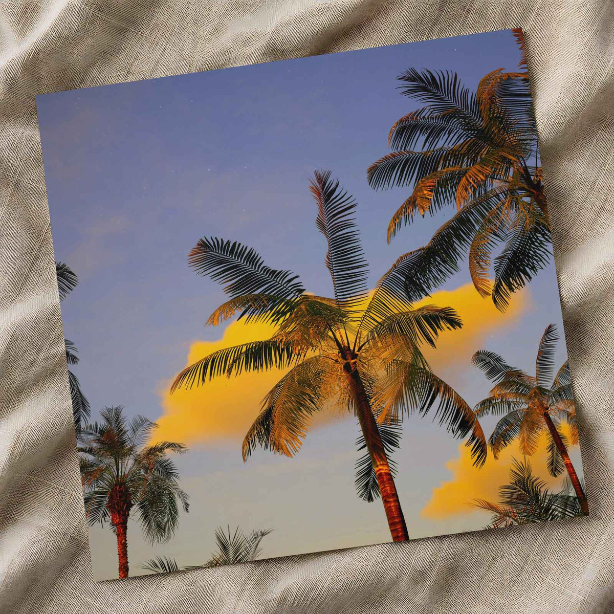 Palm Trees Against a Blue Sky Photo Wall Print (7 Sizes) - Crisp Detail