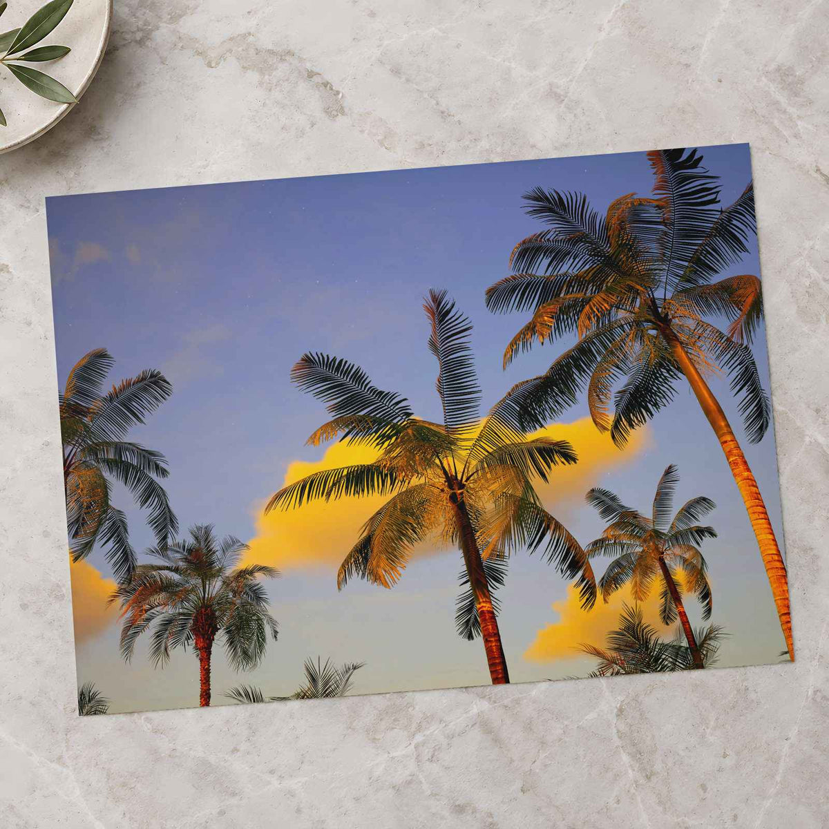 Palm Trees Against a Blue Sky Photo Wall Print (7 Sizes) - Crisp Detail
