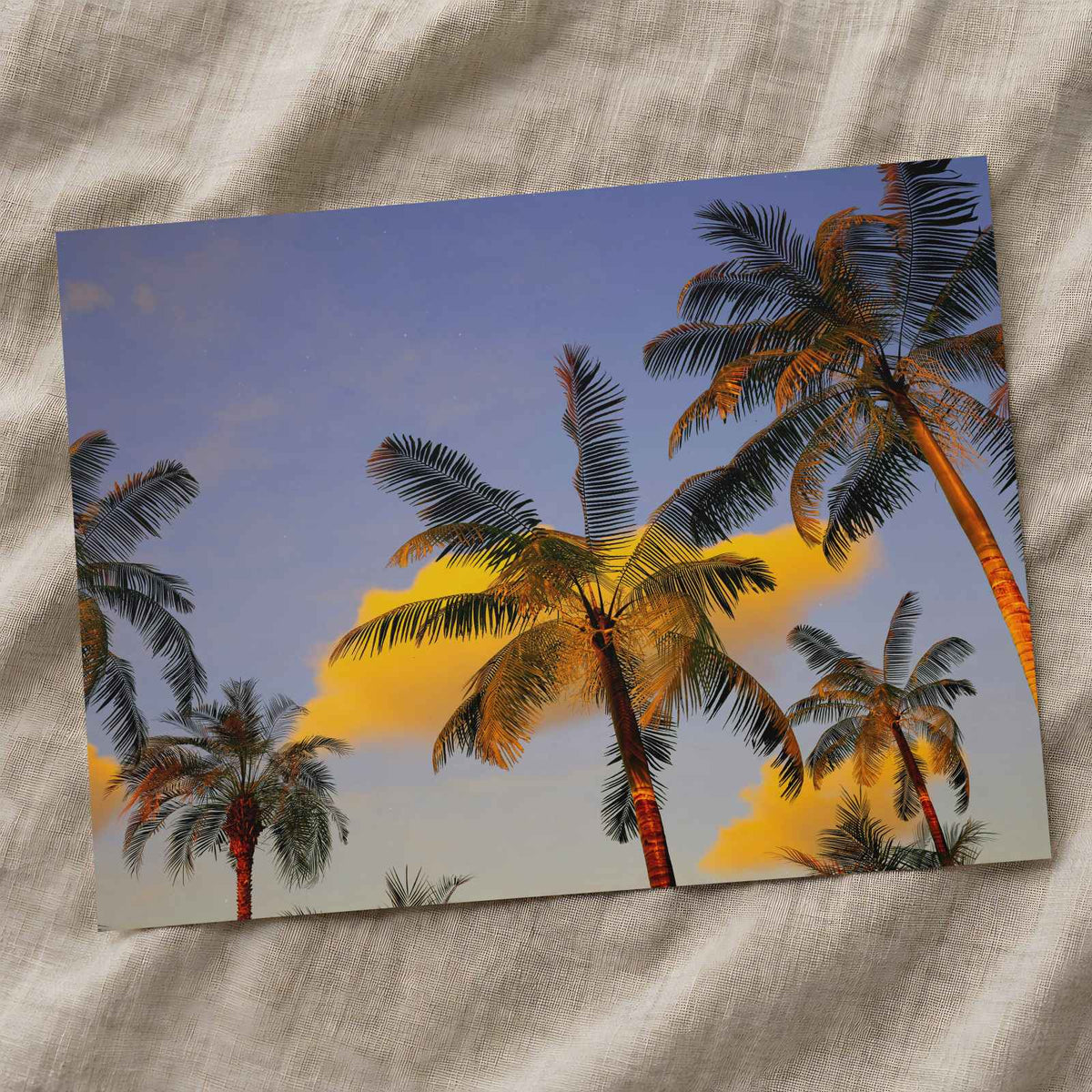 Palm Trees Against a Blue Sky by Alexander Mils Photo Print Wall Decor