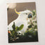 Cockatoo Sitting in Tree Photo Wall Art (5 Sizes) - Ready to Frame
