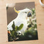 Cockatoo Sitting in Tree Photo Wall Art (5 Sizes) - Ready to Frame