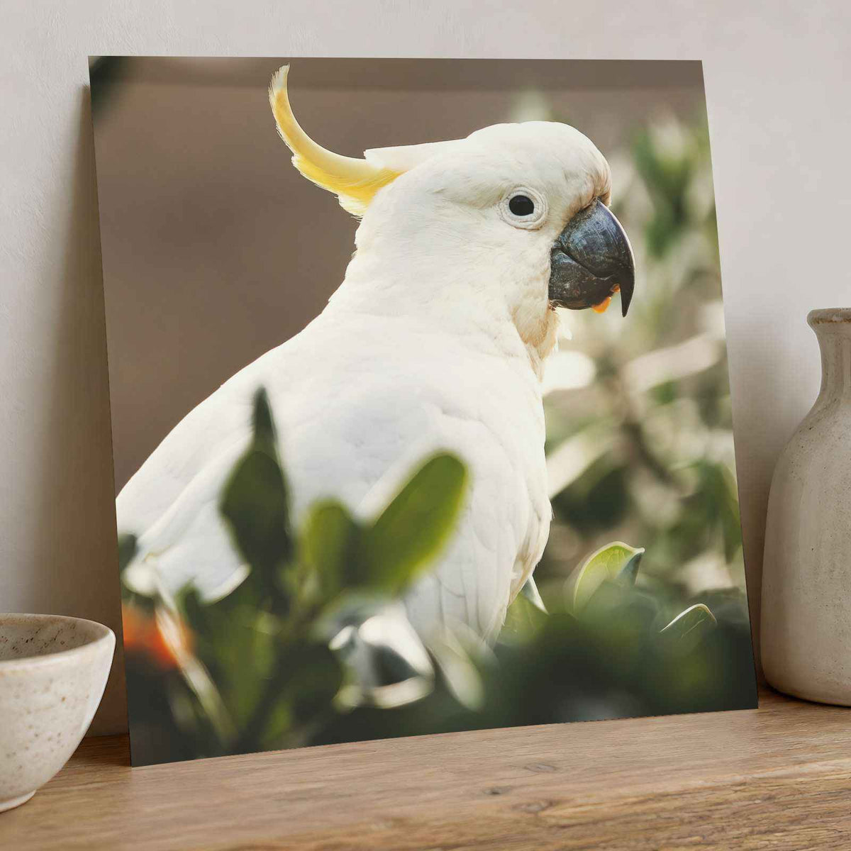 Cockatoo Sitting in Tree Photo Wall Art (5 Sizes) - Ready to Frame