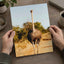 Ostrich Walking Down a Dirt Road Photography Print (7 Sizes) - Printed in USA