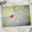 Small Orange Bird Perched on Tree Branch Photo Print (7 Sizes) - Heavyweight
