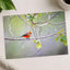 Small Orange Bird Perched on Tree Branch Photo Print (7 Sizes) - Heavyweight