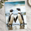 Two African Penguins Touching Flippers Photographic Art Print (6 Sizes)