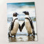 Two African Penguins Touching Flippers Photographic Art Print (6 Sizes)