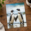 Two African Penguins Touching Flippers Photographic Art Print (6 Sizes)