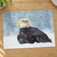 Bald Eagle Sitting in Snow Photography Print (7 Sizes) - Heavyweight