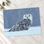 Snowy Owl Sitting in Snow Photo Wall Art (7 Sizes) - Ready to Frame