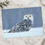 Snowy Owl Sitting in Snow Photo Wall Art (7 Sizes) - Ready to Frame