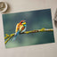 Beautiful European Bee Eater Photo Wall Print (7 Sizes) - Printed in USA