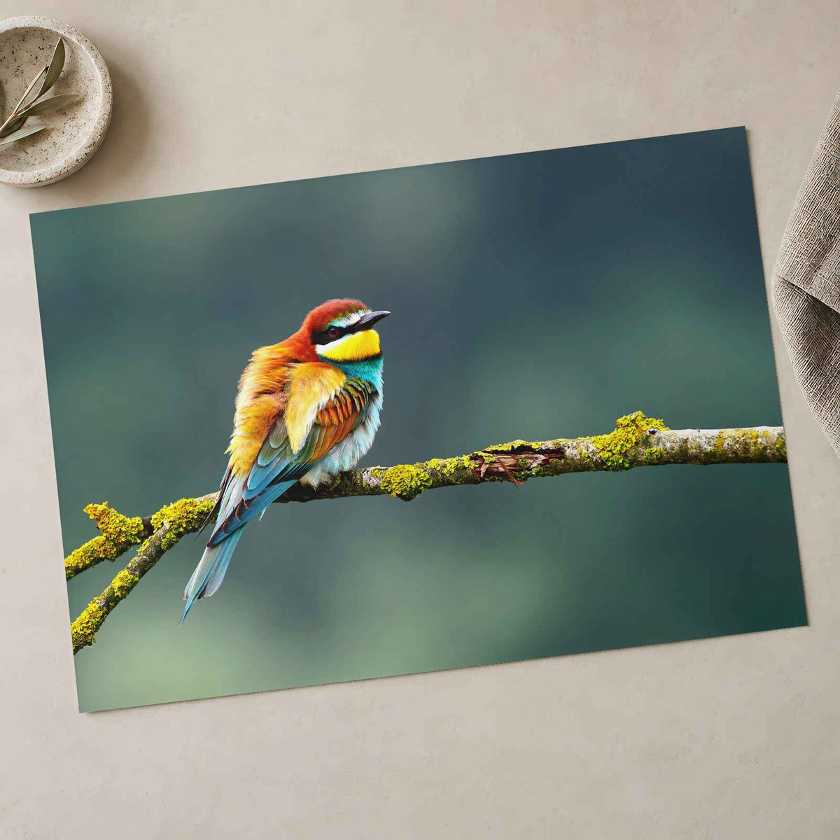 Beautiful European Bee Eater Photo Wall Print (7 Sizes) - Printed in USA